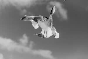 Photo bewegingsvrijheid